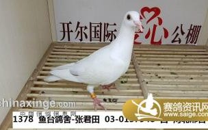 中国开尔公棚怎么样 开尔爱心公棚大棚春棚